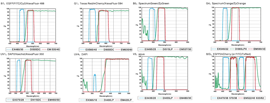 BM-R multichannel fluorescence filter transmission graphs for DAPI, FITC and red fluorophores